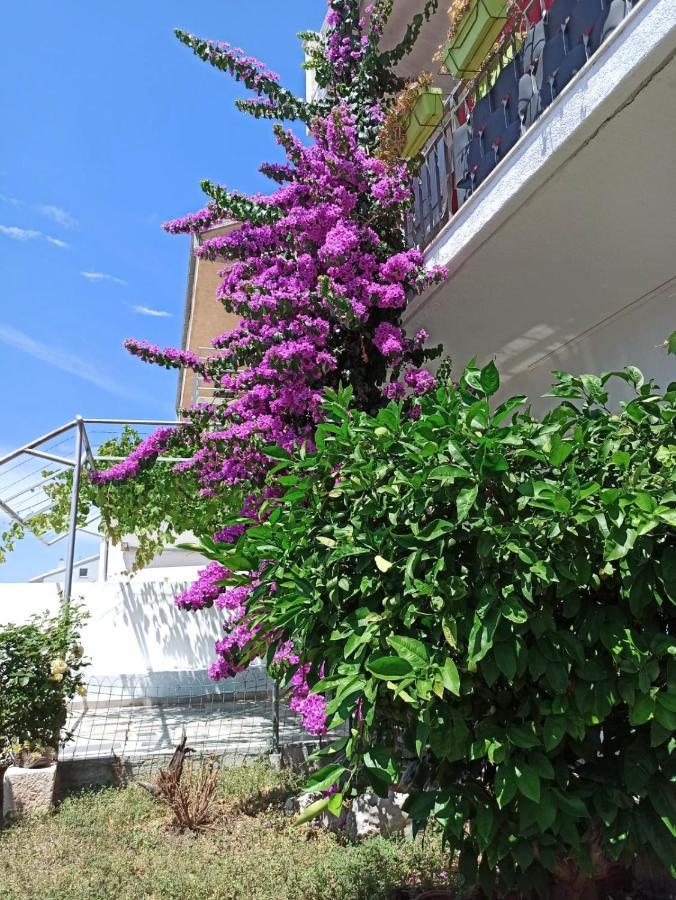 New! Apartment Terrazen Split - Free Car Parking Bagian luar foto